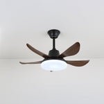 Lucas Ceiling Fan Light