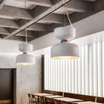 Capsule Pendant Light