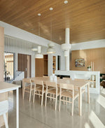 Capsule Pendant Light