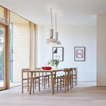 Capsule Pendant Light