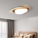 Stellar Orbit Ceiling Light