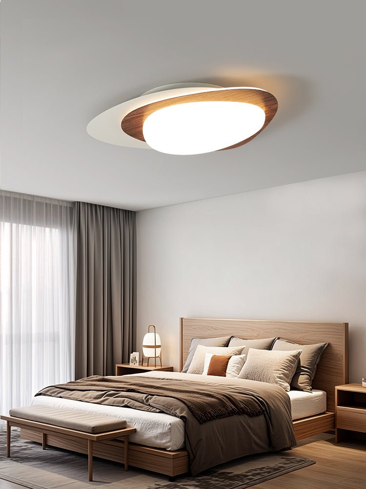 Stellar Orbit Ceiling Light