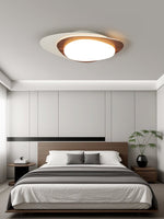 Stellar Orbit Ceiling Light