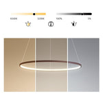 Circle Linear Modern Chandelier Pendant Lights
