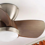 Talaya Ceiling Fan Light