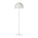 Tatou Floor Lamp 19.7"