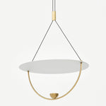 Teardrop LED Pendant Light 14.2"