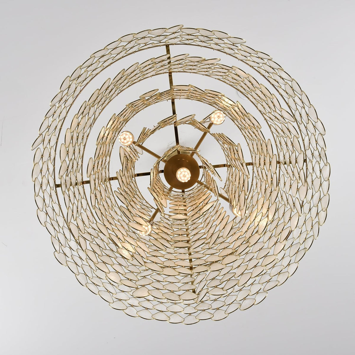 Teardrops Shell Chandelier