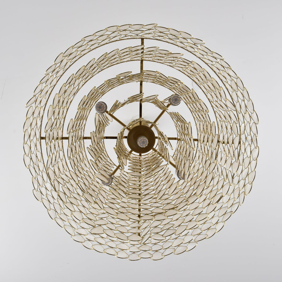 Teardrops Shell Chandelier