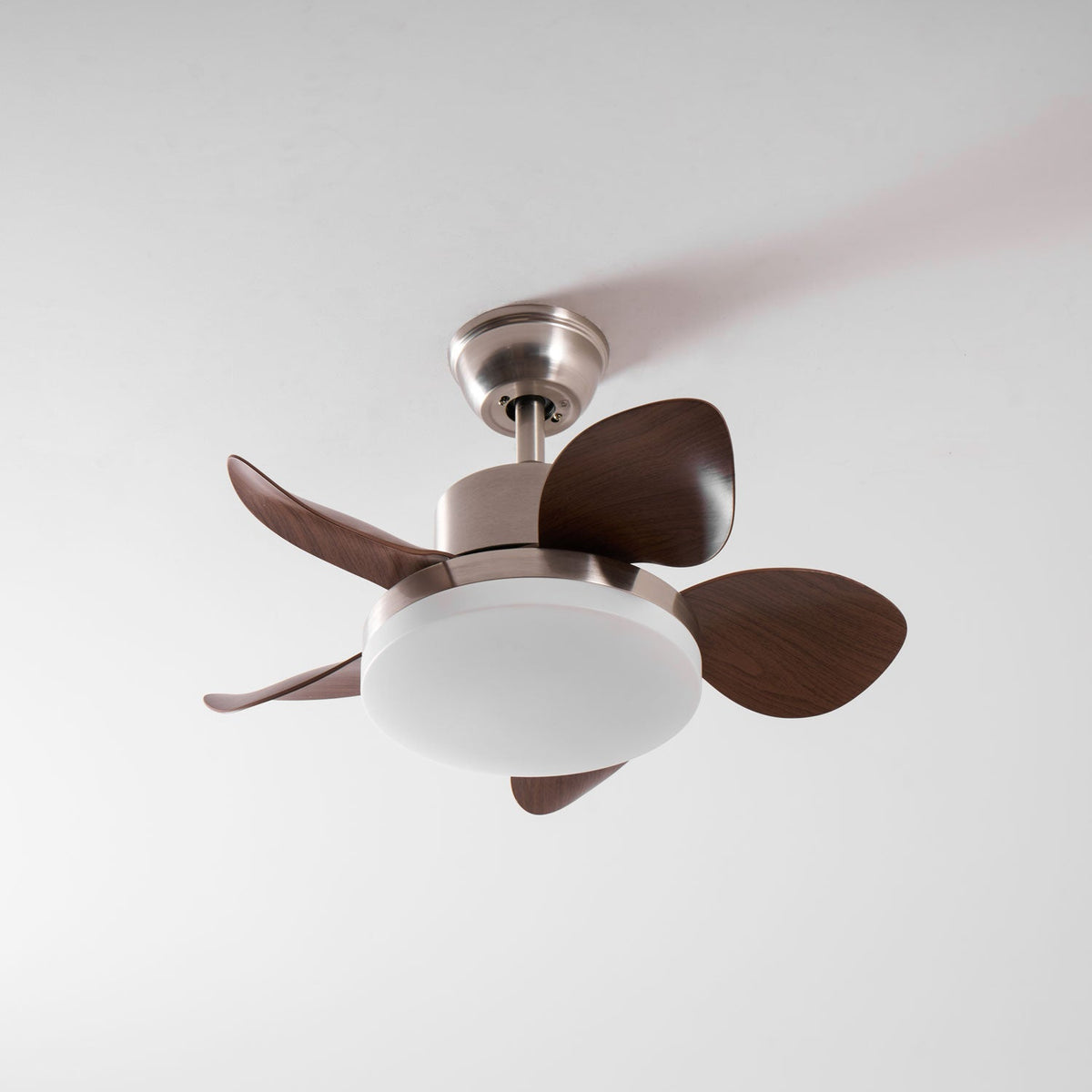 Terra Walnut Ceiling Fan Light