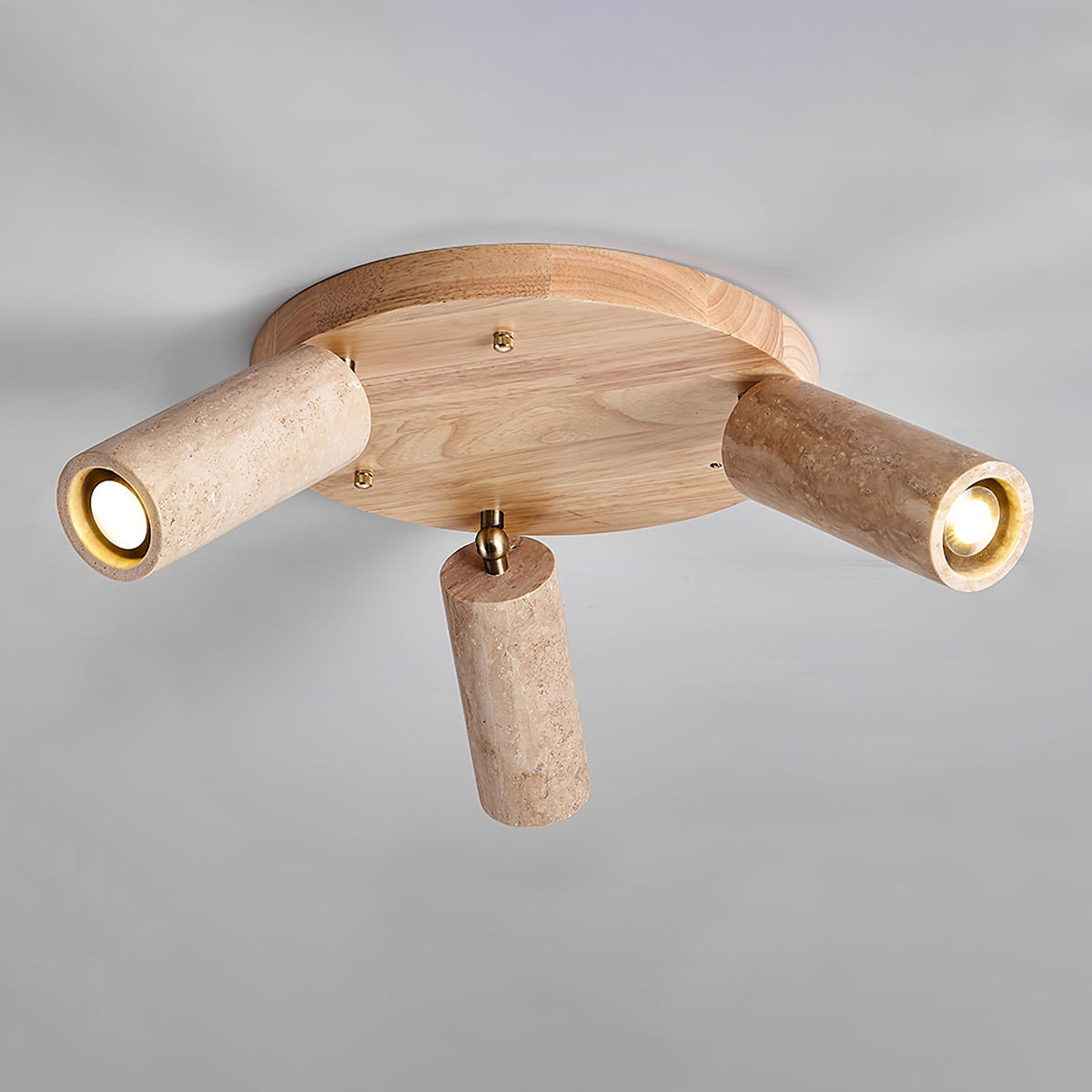 Terra Beam Ceiling Light