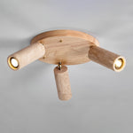 Terra Beam Ceiling Light