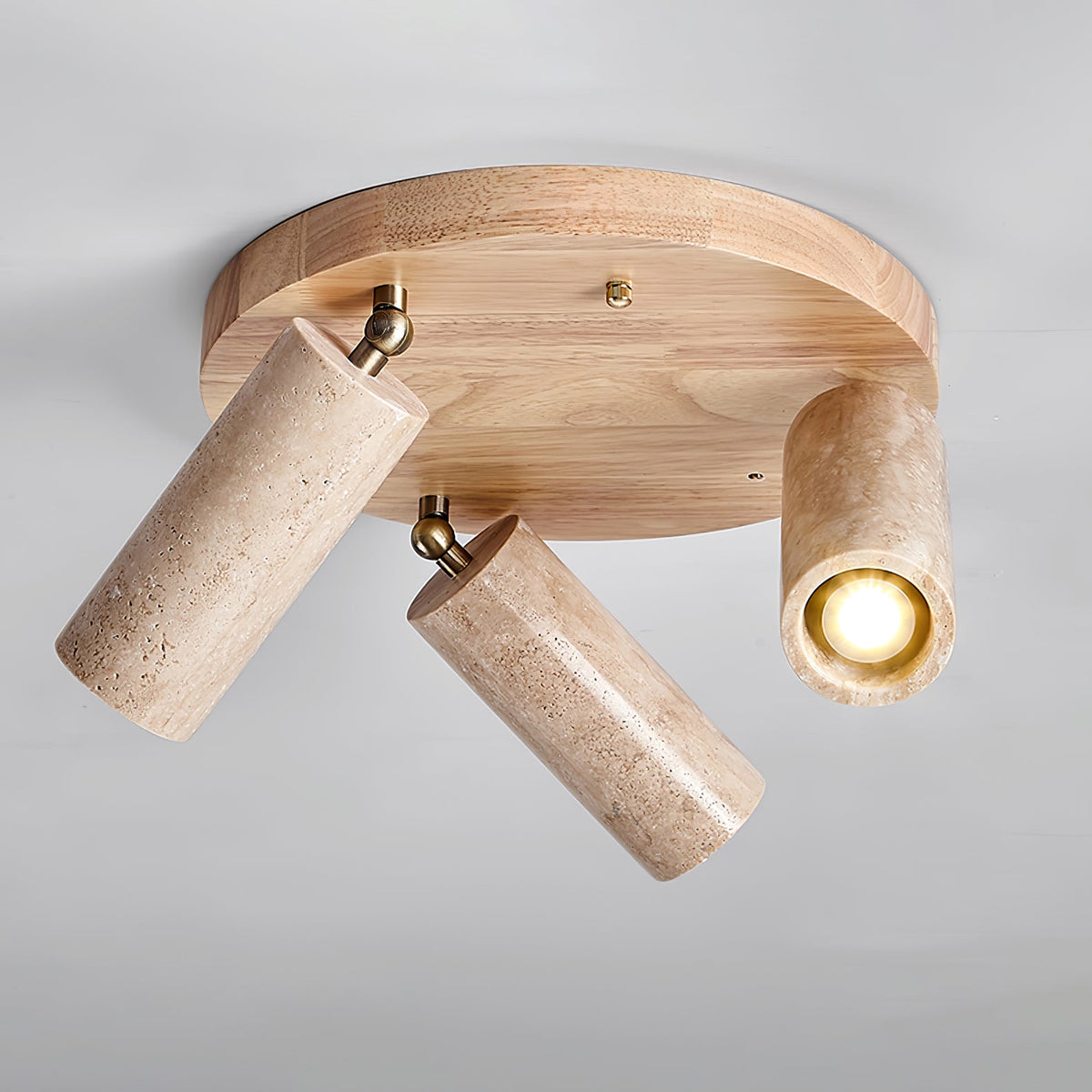 Terra Beam Ceiling Light