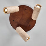 Terra Beam Ceiling Light