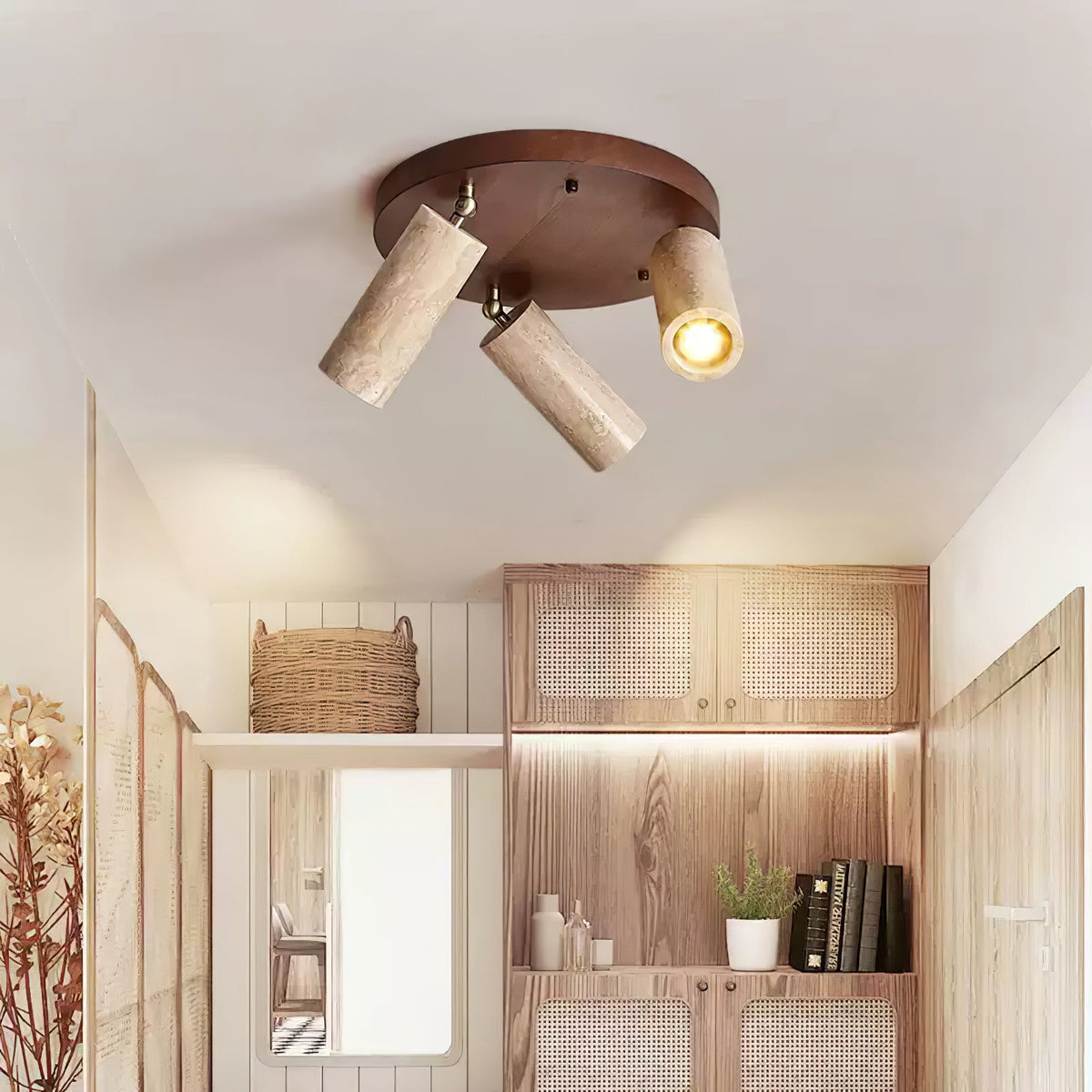 Terra Beam Ceiling Light
