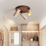 Terra Beam Ceiling Light