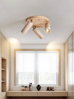 Terra Beam Ceiling Light