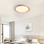 Terralux Ceiling Light