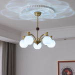 Thaddeus Radiance Chandelier