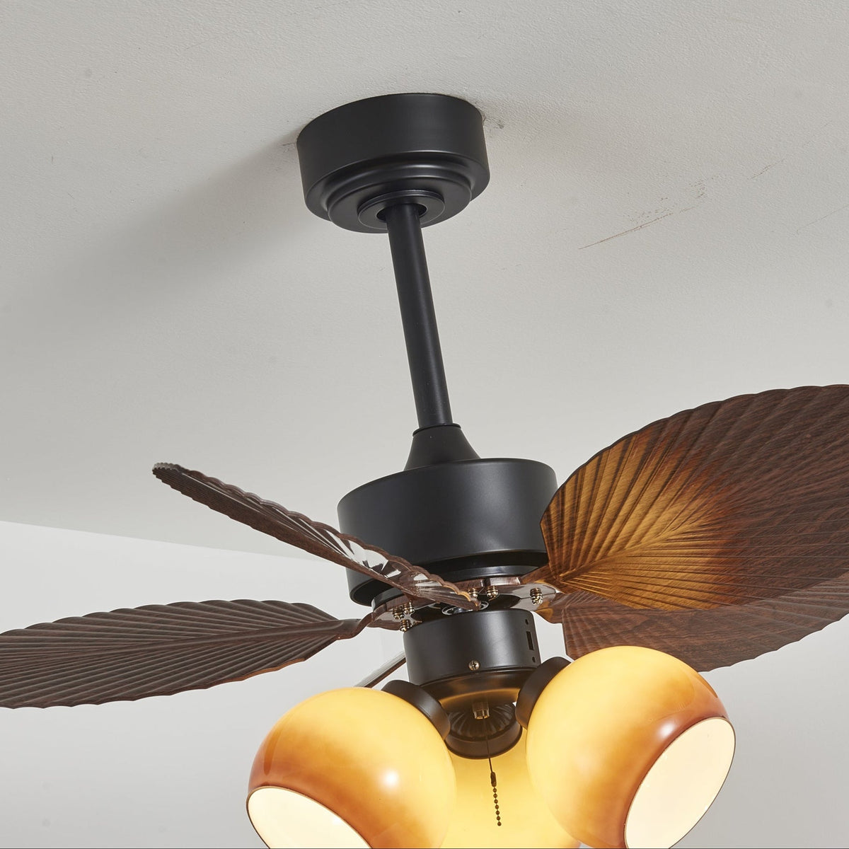 Tropiluxe Ceiling Fan Light