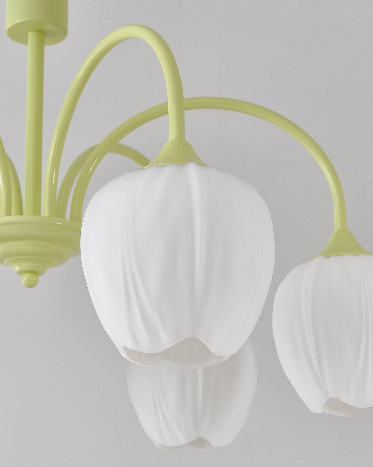Tulip Matcha Chandelier