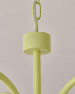 Tulip Matcha Chandelier