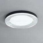 Vanguard Ceiling Light