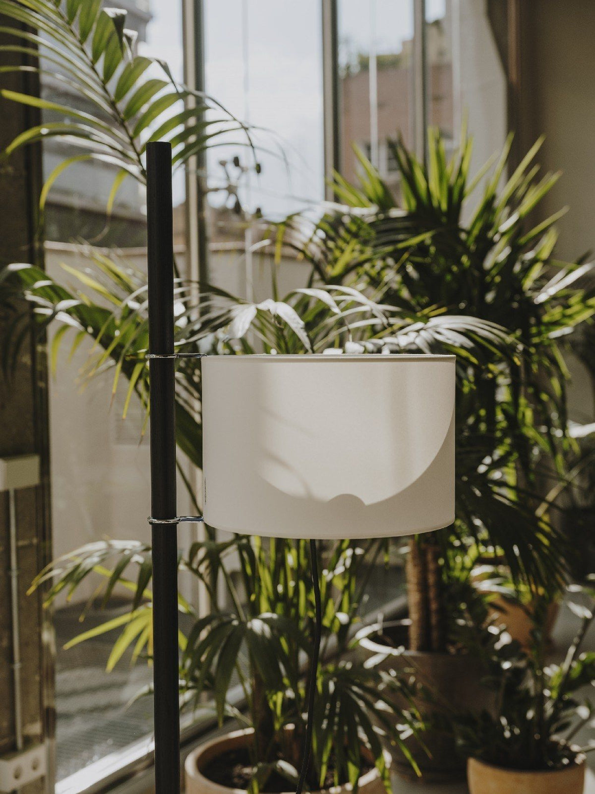 Wood Tmm Floor Lamp 11.8"