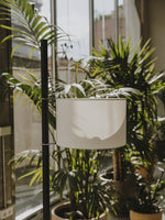 Wood Tmm Floor Lamp 11.8"