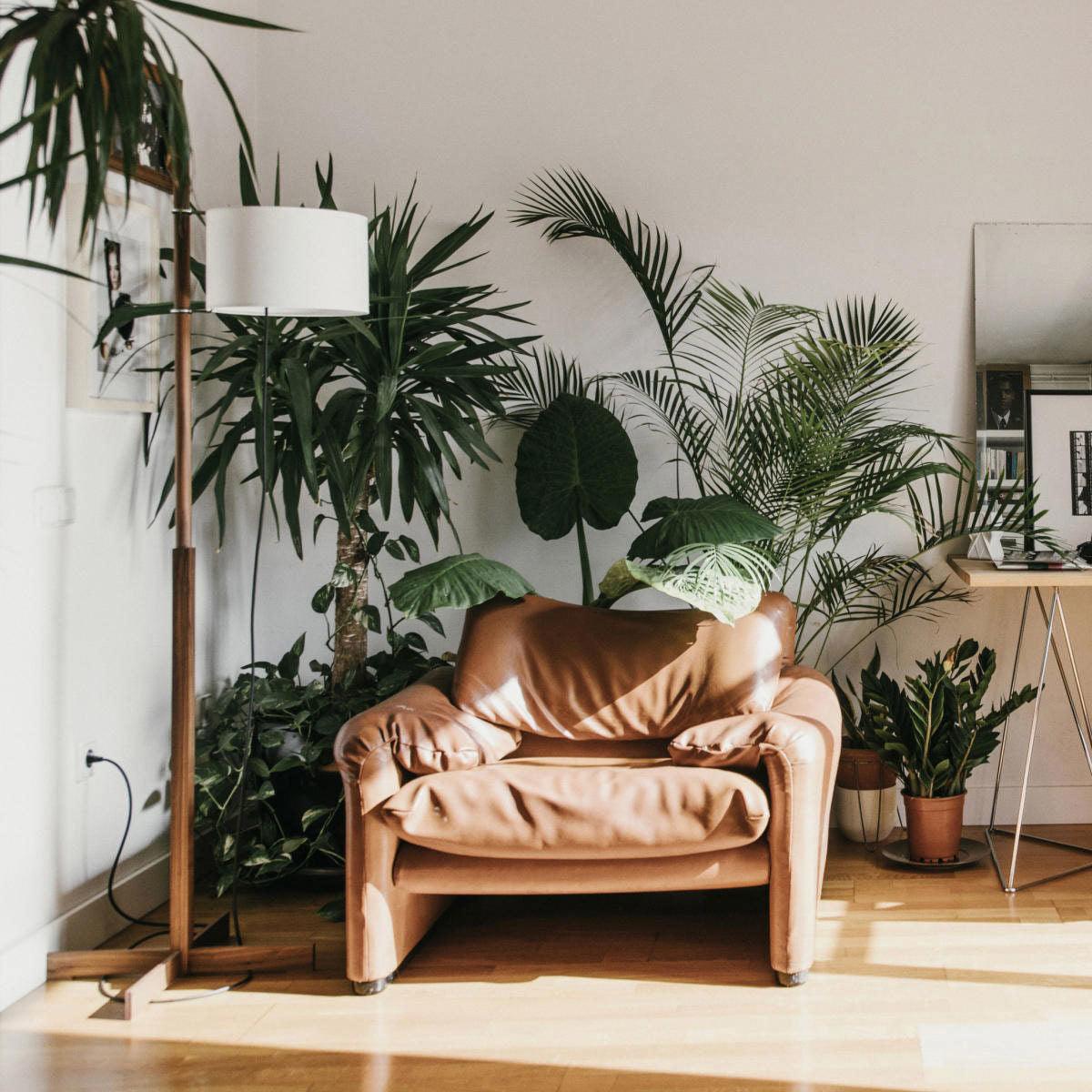 Wood Tmm Floor Lamp 11.8"