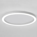 16'' Modern Simple Circle Flush Mount LED Lights Dimmable Ceiling Lights with Remote