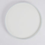 Modern Round Dimmable Flush Mount Lights LED Ceiling Light with Hollow Edge