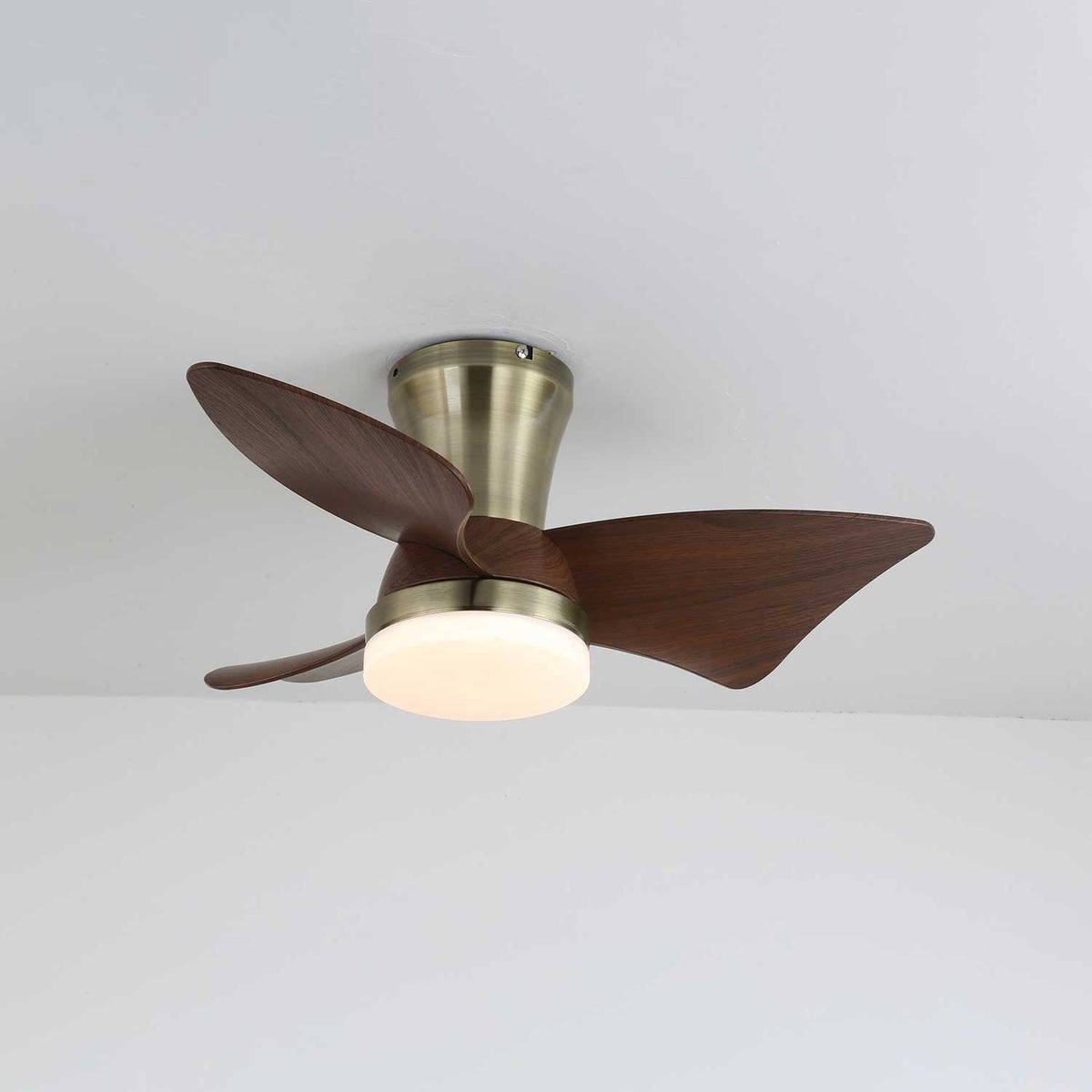 Zephyr Crest Ceiling Fan Light