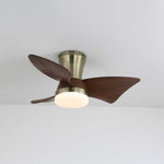 Zephyr Crest Ceiling Fan Light