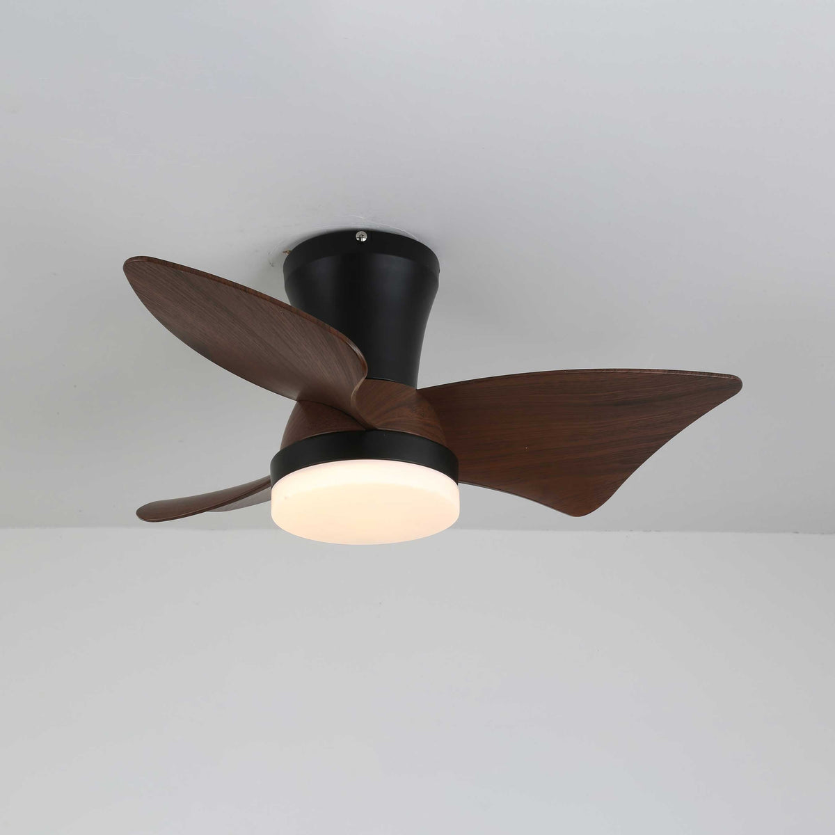 Zephyr Crest Ceiling Fan Light