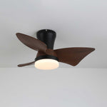 Zephyr Crest Ceiling Fan Light