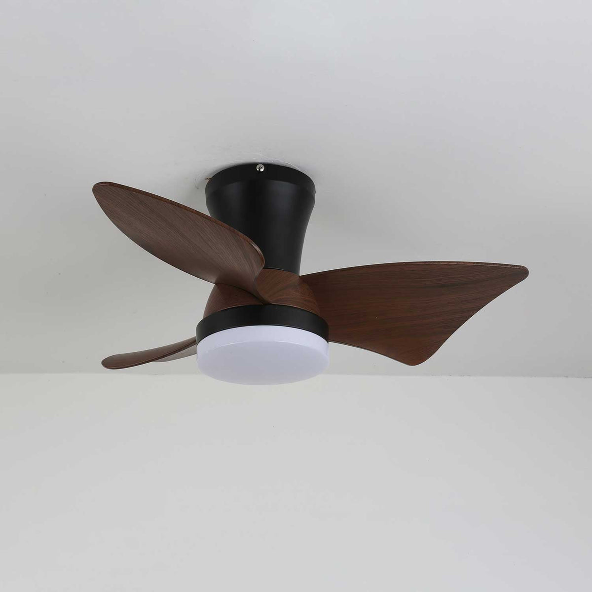 Zephyr Crest Ceiling Fan Light