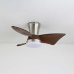Zephyr Crest Ceiling Fan Light