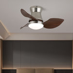 Zephyr Curve Ceiling Fan Light
