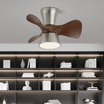 Zephyr Curve Ceiling Fan Light