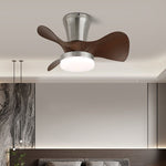 Zephyr Curve Ceiling Fan Light