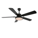 Zephyris Ceiling Fan Light