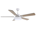 Zephyris Ceiling Fan Light