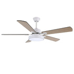 Zephyris Ceiling Fan Light