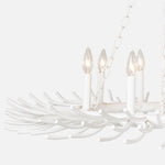 Bruna 8 Light Chandelier