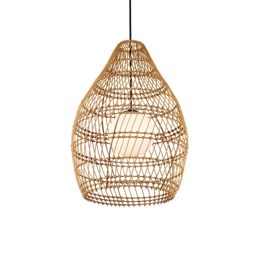 Fishtrap 30" Wide Outdoor Pendant