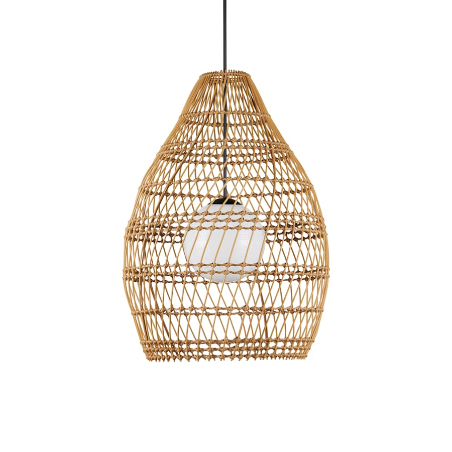 Fishtrap 30" Wide Outdoor Pendant