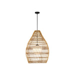 Fishtrap 30" Wide Outdoor Pendant
