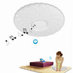 Metal Acrylic Flush Mount Ceiling Light Dimmable Unique LED Light