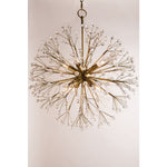 Dunkirk 10 Light 30" Wide Crystal Globe Chandelier